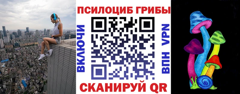 сколько стоит  Севск  Псилоцибиновые грибы GOLDEN TEACHER 