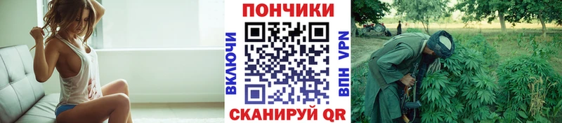 купить наркотик  Севск  Конопля OG Kush 